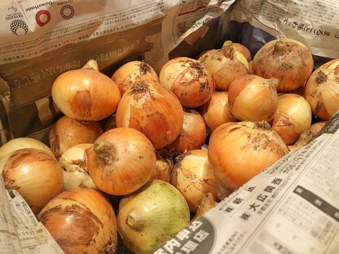 【農薬・化学肥料不使用！】滋賀県産の玉ねぎ　５キロ（サイズ混合）