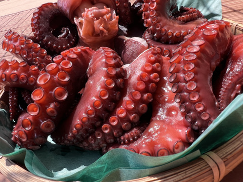 プリップリ触感！島根県産「ボイル真だこ」1kg（小分けパック）