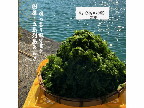 孫も大好き♡磯の香り風味豊か！
有名な五島列島産！
『生あおさ 50ｇ×20袋』1kg分