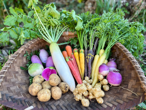 [自然栽培] 季節の野菜 詰め合わせBOX Mサイズ