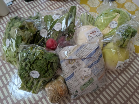 定期購入専用Mサイズ【栽培期間中農薬不使用】季節のお野菜詰め合わせ[6～8品目］