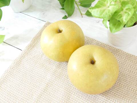 果汁溢れる優しい甘さの幸水梨  約2kg【大きめサイズ】【夏ギフト】
