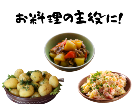 熊本県八代産　訳あり新じゃが　メークイン　10Kg