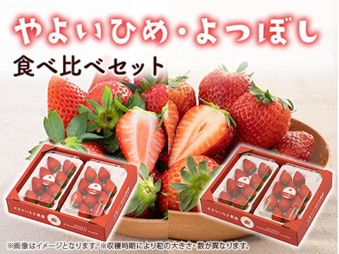 4パック｜贅沢いちごの食べ比べ！やよいひめ×2・よつぼし×2 合計1kg！