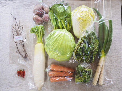 旬の有機野菜Lセット　しあわせ野菜畑（有機JAS）