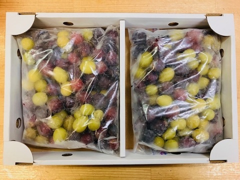 ひんやりスイーツ！冷凍ぶどう（種なしぶどうMIXシャインマスカット入り）