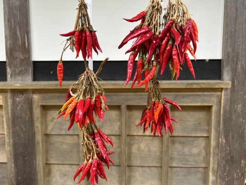 唐辛子🌶️20g、軒先で乾燥