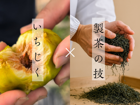 〈メール便〉静岡産 無添加・蜜しっとり国産ドライいちじく20ｇ×3パック　砂糖不使用　静岡県牧之原産　国産　セミドライ　お試しサイズ　小分けタイプ