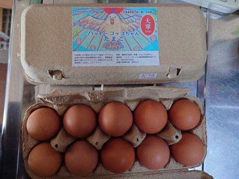 【北海道から】放し飼いコッコの大寒たまご　10個 × 2パック