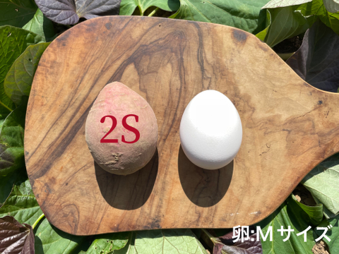 【絶品】aimo農園｜安納芋 2Sサイズ 3kg(箱別)