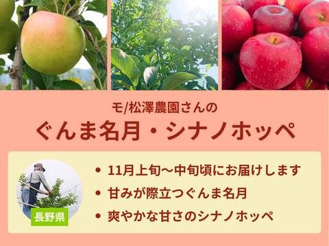 【売り切れ】 【限定300セット】8種のりんご食べ比べ便（食べチョク公式）