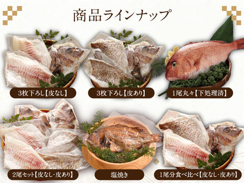 【食欲の秋】脂乗り抜群の旨味たっぷりブランド真鯛をフルコースで味わう！【半身ずつ食べ比べ】
