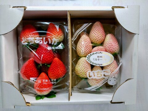 白いイチゴ🍓ミルキーベリー+とちあいか🍓
二段詰270g各1パック