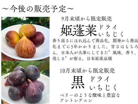 〈メール便〉静岡産 無添加・蜜しっとり国産ドライいちじく20ｇ×3パック　砂糖不使用　静岡県牧之原産　国産　セミドライ　お試しサイズ　小分けタイプ