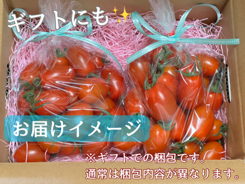 【甘さピカイチ‼️】食べ応え抜群！フルーツトマト界の王様！フルティカ（4キロ）