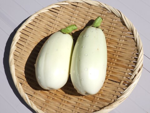 【毎週5セット限定!!】蛭田農園のおまかせ新鮮夏野菜セット!!