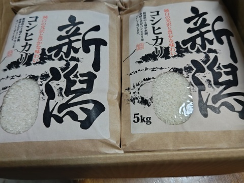 🎯新米受付🌅朝市限定5%off🌅4700円🌾5kg×2🍚10kg🌾お米ソムリエ監修🌾令和6年新潟県五泉市四ヶ村産🌾特栽米コシヒカリ🙋なんと😲❇️4700円❇️激安特価‼️