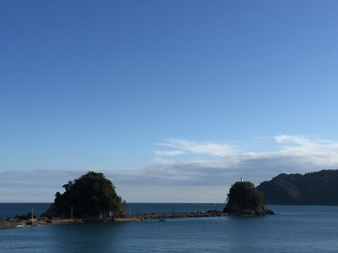 みんなでわけわけ　たっぷり丸オクラ２.５kg