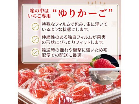 【お歳暮ギフトに】特選あまおう 400ｇ【冬ギフト】