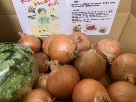 玉ねぎ7kg🅱️🧅淡路島極熟玉葱玉　シャーロットオニオン　玉ねぎ大国淡路島からのたまねぎ