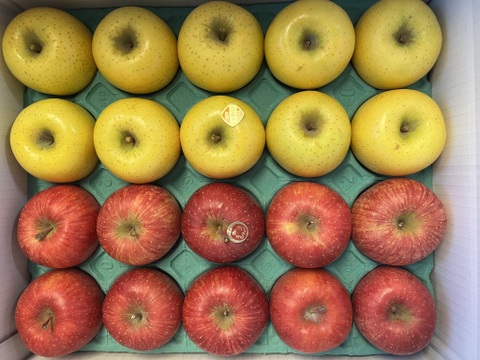 【家庭用】サンふじ＆シナノゴールドの詰め合わせセット 小玉　約5kg(20～23個)