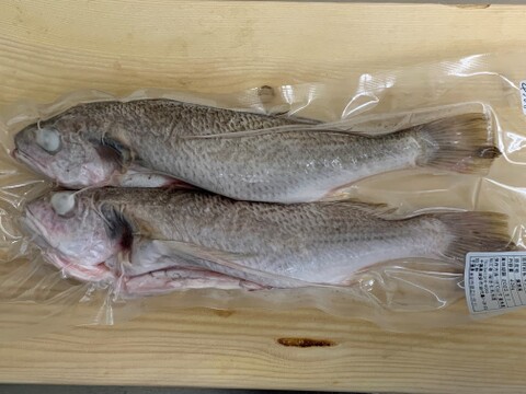 急速冷凍 鮮魚2種セット スズキ切身 イシモチ 千葉県産の魚 食べチョク 産地直送 産直 お取り寄せ通販 農家 漁師から旬の食材を直送 急速冷凍 鮮魚2種セット スズキ切身 イシモチ 千葉県産の魚 食べチョク 産地直送 産直 お取り寄せ通販 農家 漁師から旬の食材を直送