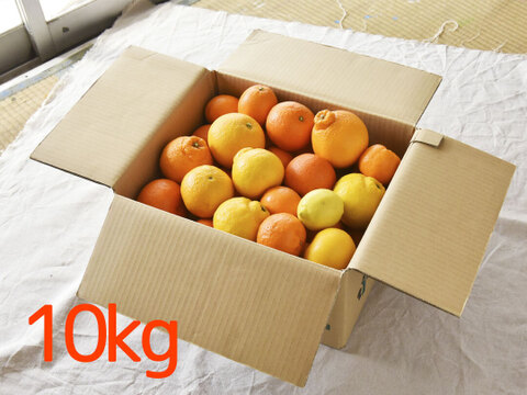 【ご予約受付中】春かんきつお楽しみ箱【家庭用(訳あり)】5kg