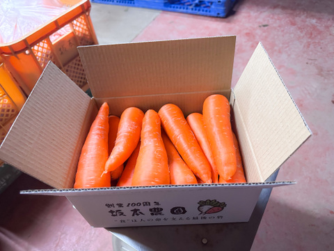 ポトフの湯気に甘みがのる【甘香橙にんじん】｜3kg
