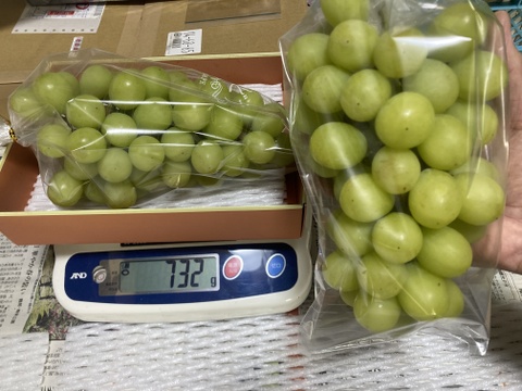 葡萄「シャインマスカット」　700g 2房入り