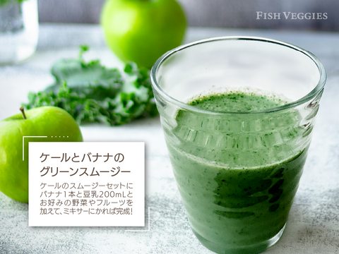 新鮮！採れたて！農薬・化学肥料不使用！ケールとレタスの定期便 6個セット