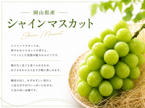 【ギフト】3種を食べ比べ！シャインマスカット1㎏＆粒ぶどう2種詰め合わせ