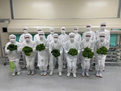 パリッ！うまっ！星のブーケレタス【水耕栽培】🥬ロメインレタス🥬1kg 170ｇ〜200g × 5~6玉