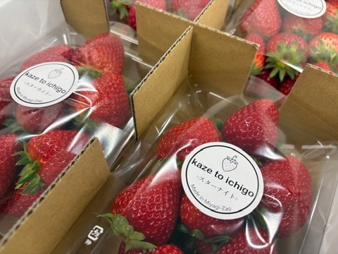 【特Aスターナイト】宮城蔵王産 いちご 250g×4P