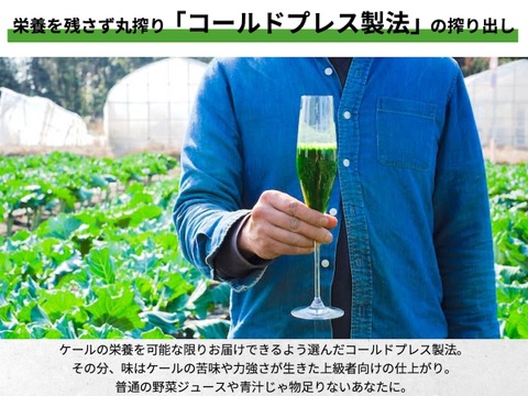 【訳あり特価】“野菜の王様”ケールの栄養満点ジュース(15パック)【賞味期限10月31日】
