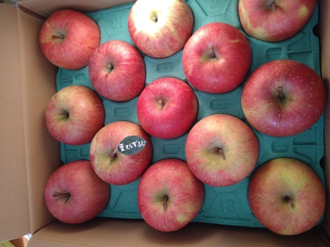 🍎5キロ🍎葉とらずふじ【家庭用】１３玉～２３玉 青森りんご リンゴ 商品ID165766