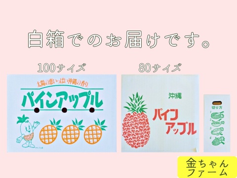 希少パイナップル　ホワイトココ　3玉 希少品種！！ホワイトココ(裂果あり)2〜3玉🥥🍍(2kg)：沖縄県産