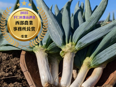 《L~3Lミックス,16~20本》下仁田町産 下仁田ねぎ 極上の甘みととろける食感！（贈答用/ご家庭用）【冬ギフト】