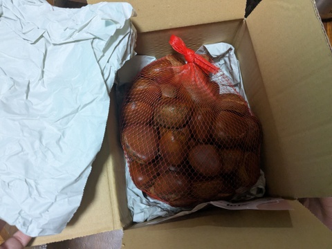 【訳あり】大粒　生栗　みとよの栗　品種混合　Ｌサイズ以上ミックス　１ｋｇ