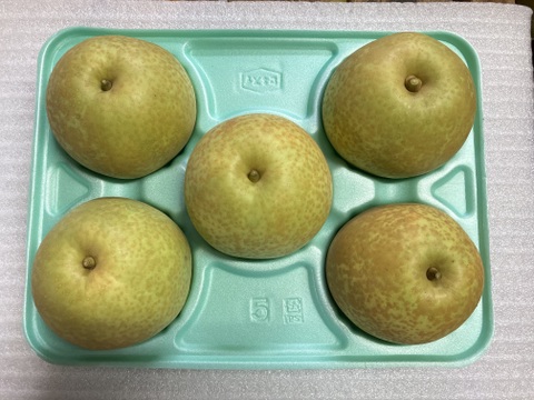 【鳥取県産】甘太　梨　約3kg