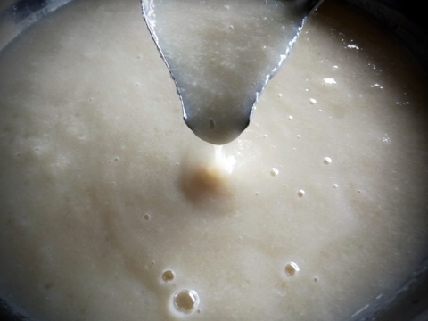 《国産・無添加・発酵調味料》にんにく塩糀（ピューレタイプ）〜ガツンとコクうま！