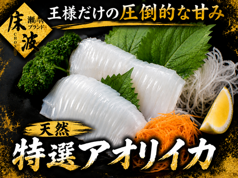 【イカの王様を堪能】長州床波ブランド一押し天然国産『特選アオリイカ』家飲みを最高級料亭のカウンターへ☆お試しキャンペーンお刺身用約200g