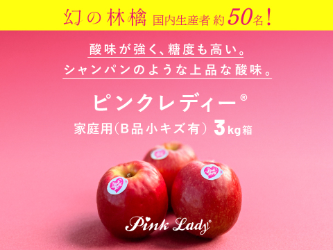 ピンクレディー®︎ 家庭用B品 3キロ箱使用 長野県 信州 安曇野 リンゴ 幻 幻のリンゴ 予約 希少 旬 小キズあり 中玉〜小玉 商品ID99877 ピンクレディー