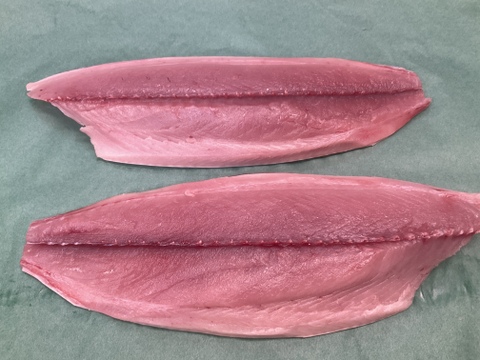 【秋の旨い魚】迷いハガツオ/キツネ/1.6~1.8㎏前後/半身フィレ/脂のり旨いです【今だけ生で送ります】