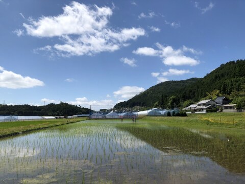 栽培期間中農薬不使用！京都府南丹市産「コシヒカリ」玄米 10kg