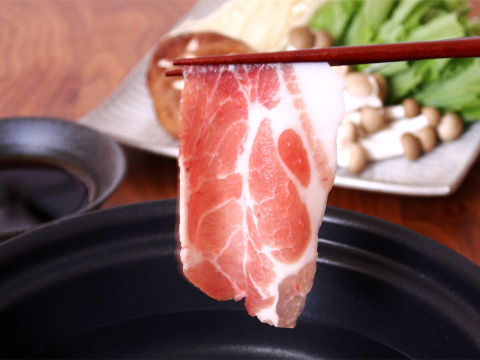 ＜ギフト＞元気豚　味わいしゃぶしゃぶ三昧【一部地域を除き送料込み】【766】