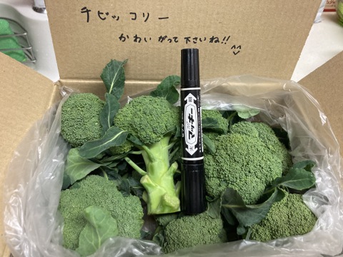 チビッコリー(ブロッコリー)箱いっぱい！ 約1200ｇ