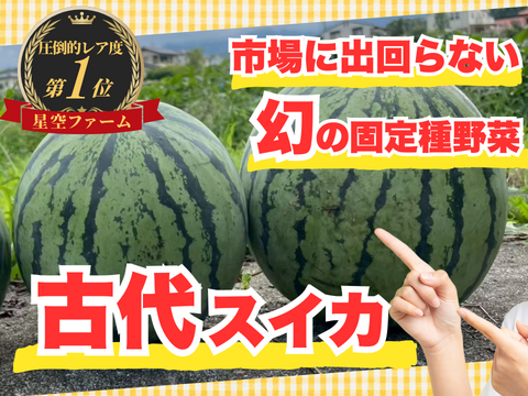 【大人気過ぎて驚異の2年待ち】一般市場に流通しない古代スイカ🍉見つけたら幸運の持ち主☆古代種ブランド野菜【農薬不使用】【化学肥料不使用】【品種改良なしの固定種野菜】🍉2027年8月上旬予約
