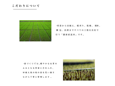 新潟県産コシヒカリ,和泉,2kg,令和7年新米,【受注後精米・農家直売】