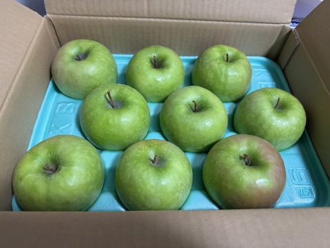 【予約販売・数量限定】長野県産りんご３㎏（グラニースミス）（１０月発送）加工向き