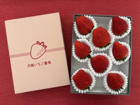【贈答用】 プレミアムイチゴ（特大サイズ）8粒 280g以上 (1粒35g以上)　紅ほっぺ【冬ギフト】